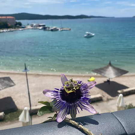 Cap Adria Apartments- Beachfront, Private Swimming Pool, Near Sibenik *